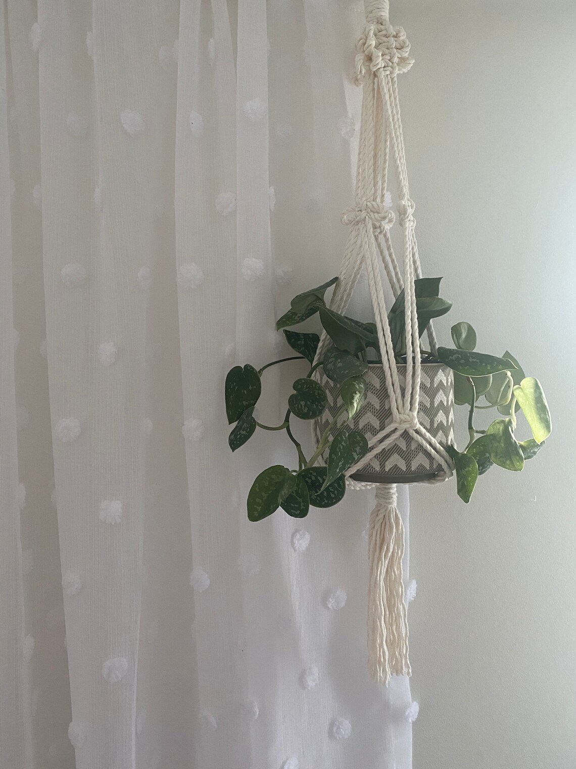 Plant Hanger Small Plant Hanger Boho Home Indoor Plants Unique Gifts