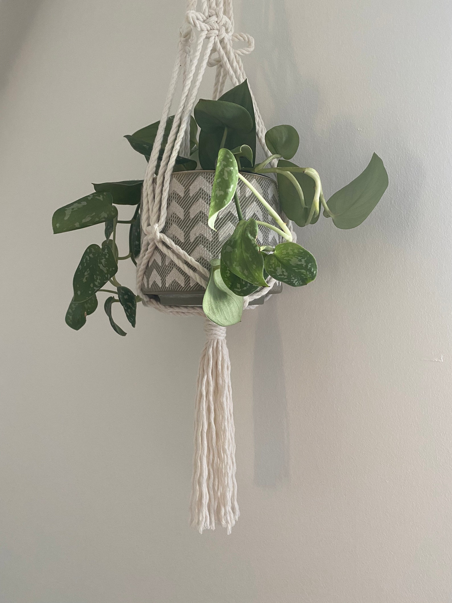 Plant Hanger Small Plant Hanger Boho Home Indoor Plants Unique Gifts