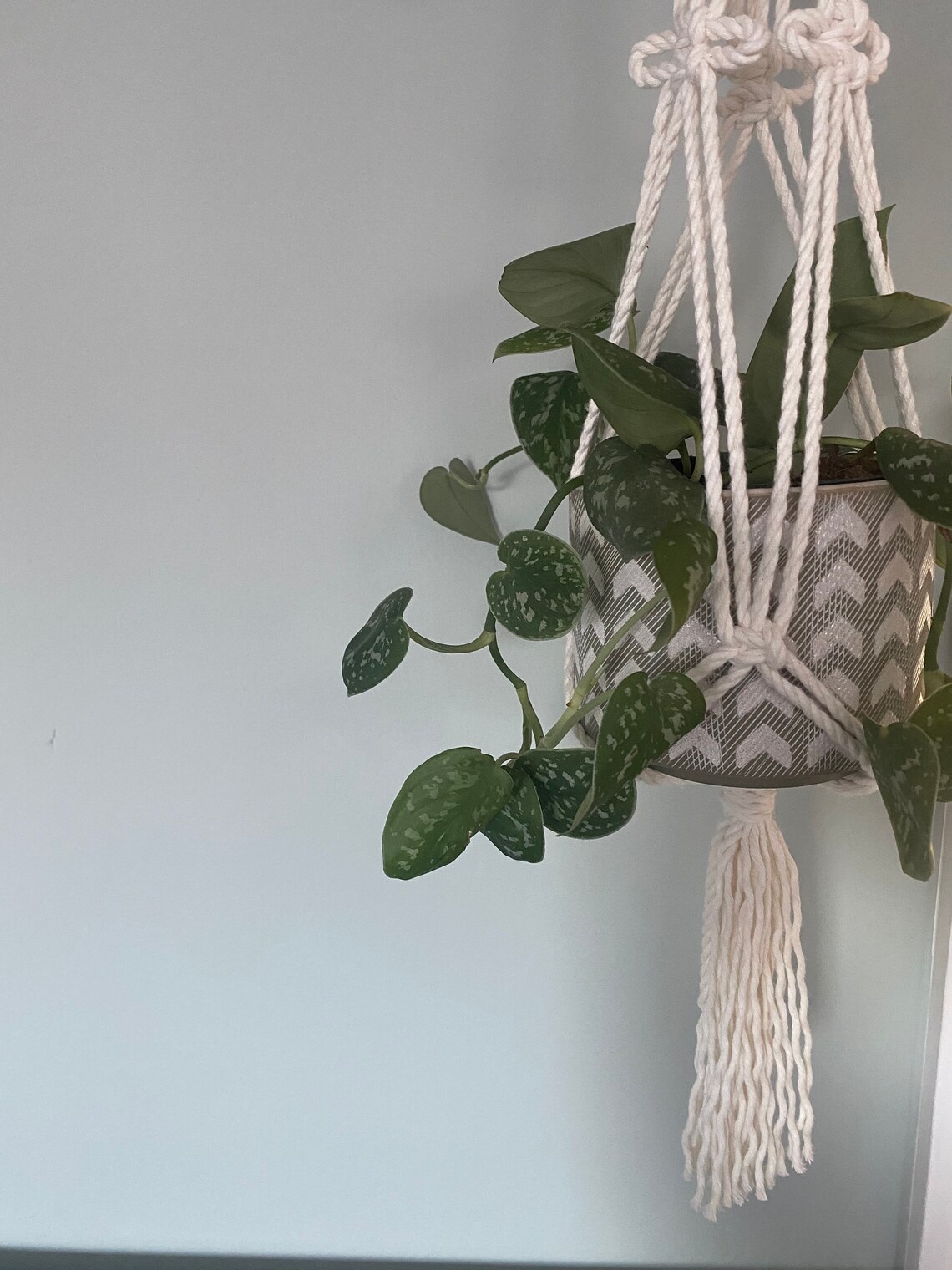 Plant Hanger Small Plant Hanger Boho Home Indoor Plants Unique Gifts