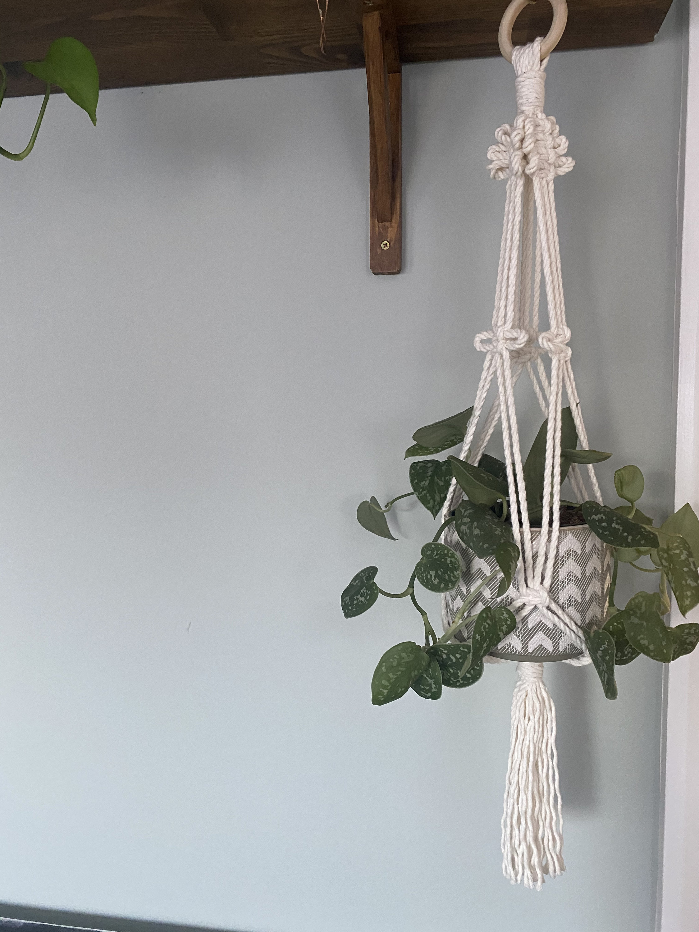 Plant Hanger Small Plant Hanger Boho Home Indoor Plants Unique Gifts