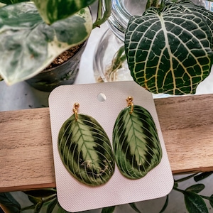 Calathea Maranta Lemon Lime Watercolor Style Earrings, Houseplant, Boho Gift Ideas, Herbology, Plantology, Plant Addict