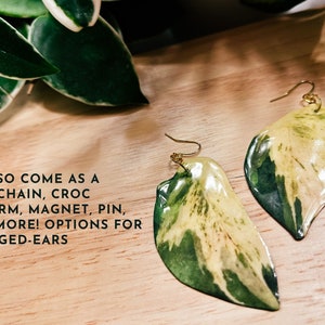 May include: A pair of gold leaf earrings with a green and white variegated leaf design. The earrings are shown on a wooden surface. "I ALSO COME AS A KEYCHAIN, CROC CHARM, MAGNET, PIN, OR MORE! OPTIONS FOR GAUGED-EARS" is written in black text on the surface.