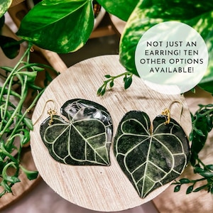 Anthurium Clarinervium Watercolor Style Earrings, Rare Houseplant, Boho Gift Ideas, Herbology, Plantology, Plant Addict