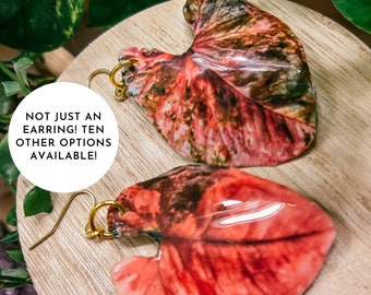 Syngonium Strawberry Ice Galaxy Watercolor Style Earrings, Botanical Rare Houseplant, Boho Gift Ideas, Herbology, Plantology, Plant Addict