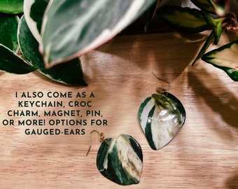 Manjula Pothos, Statement Green & White Watercolor-Style, Rare Houseplant Earrings, Fridge Magnet, Gold Keychain, Plant Pin, Wall Hanging