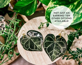 Anthurium Clarinervium Watercolor Style Earrings, Rare Houseplant, Boho Gift Ideas, Herbology, Plantology, Plant Addict