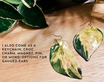 Harlequin Pothos, Epipremnum, Green Watercolor-Style, Rare Houseplant Earrings, Fridge Magnet, Gold Keychain, Plant Pin, Wall Hanging