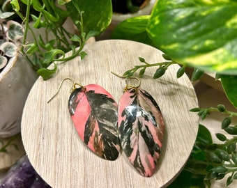 Philodendron Marble Pink Princess Watercolor Style Earrings, Rare Houseplant, Boho Gift Ideas, Herbology, Plantology, Plant Addict