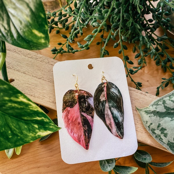 Pink Princess Philodendron 'Black Cherry' Watercolor Style Earrings, Rare Houseplant, Boho Gift Ideas, Herbology, Plantology, Plant Addict