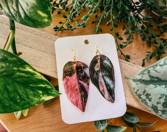 Pink Princess Philodendron 'Black Cherry' Watercolor Style Earrings, Rare Houseplant, Boho Gift Ideas, Herbology, Plantology, Plant Addict