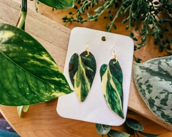 Philodendron Rio Watercolor Style Earrings, Houseplant, Boho Gift Ideas, Herbology, Plantology, Plant Addict, Rare Houseplants