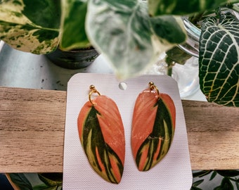 Stromanthe Triostar Watercolor Style Plant Leaf Earrings, Houseplant, Boho Gift Ideas, Herbology, Plantology, Plant Addict