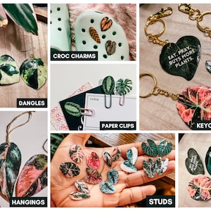 Pendientes estilo acuarela de forma grande Gloriosum, planta de interior rara, ideas de regalos boho, herbología, plantología, adicto a las plantas imagen 10