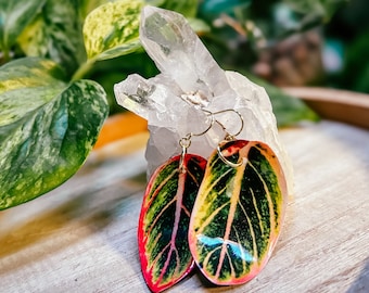 Pendientes de Aglaonema ‘Lotus Delight’ rosa y verde estilo acuarela, planta de interior rara, ideas de regalo boho, herbología, botánica, adicto a las plantas