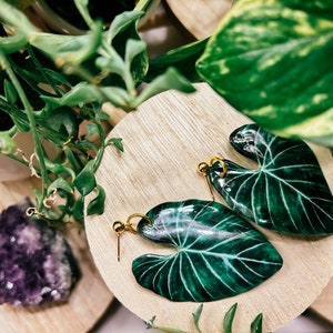 Pendientes estilo acuarela de forma grande Gloriosum, planta de interior rara, ideas de regalos boho, herbología, plantología, adicto a las plantas imagen 2