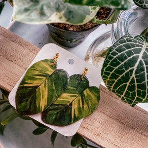 Golden Pothos Watercolor Style Plant Leaf Earrings, Houseplant, Boho Gift Ideas, Herbology, Plantology, Plant Addict