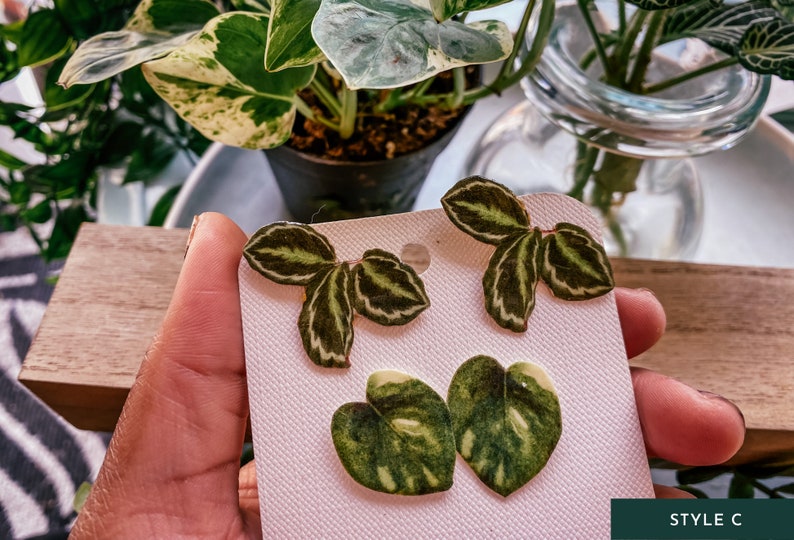 Variegated Rubber Plant Watercolor Style Earrings, Botanical Houseplant Studs, Boho Gift Ideas image 4