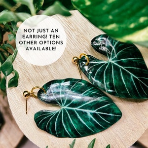 Pendientes estilo acuarela de forma grande Gloriosum, planta de interior rara, ideas de regalos boho, herbología, plantología, adicto a las plantas imagen 1