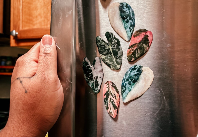 May include: Six colorful leaf-shaped magnets with a white background, attached to a stainless steel refrigerator.
