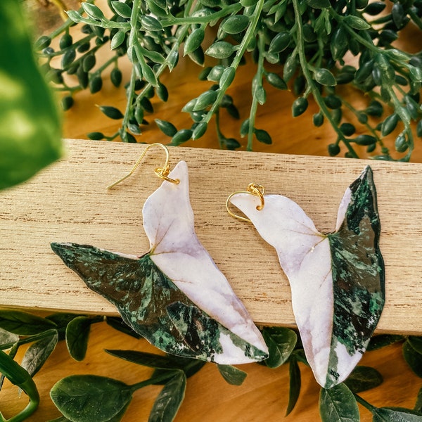 Variegated Syngonium Albo Watercolor Style Earrings, Rare Houseplant, Boho Gift Ideas, Herbology, Plantology, Plant Addict