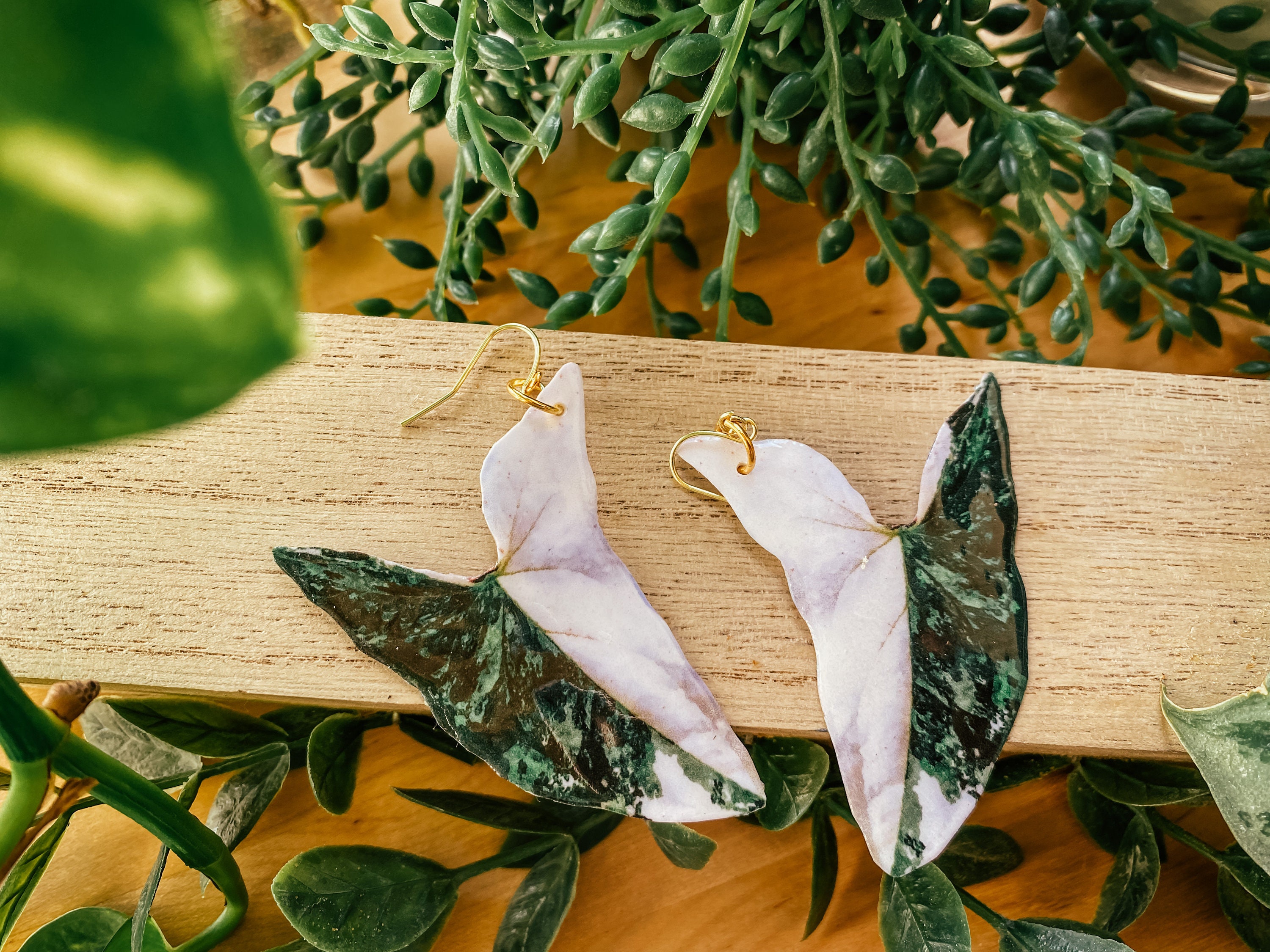 Variegated Syngonium Albo Watercolor Style Earrings, Rare Houseplant, Boho Gift Ideas, Herbology, Plantology, Plant Addict