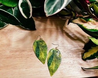 Jessenia Pothos Gift for Plant Addicts: Hypoallergenic Statement Jewelry, Rare Trendy Houseplant, Magnet, Keychain, Plant Pin, Wall Hanging