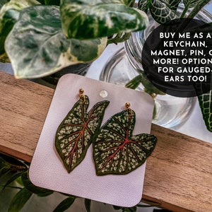 Caladium, Red, White & Green Watercolor-Style, Rare Houseplant Earrings, Fridge Magnet, Gold Keychain, Plant Pin, Wall Hanging