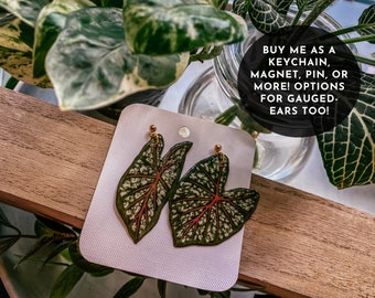 Caladium, Red, White & Green Watercolor-Style, Rare Houseplant Earrings, Fridge Magnet, Gold Keychain, Plant Pin, Wall Hanging