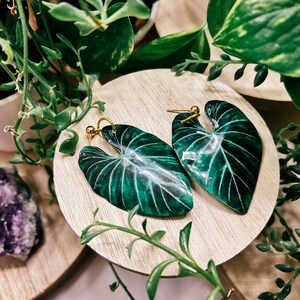 Pendientes estilo acuarela de forma grande Gloriosum, planta de interior rara, ideas de regalos boho, herbología, plantología, adicto a las plantas imagen 3