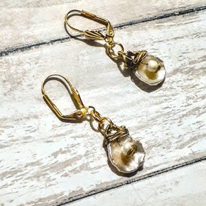 Earrings - Baroque Pearl&#39;s with small round fresh water pearls