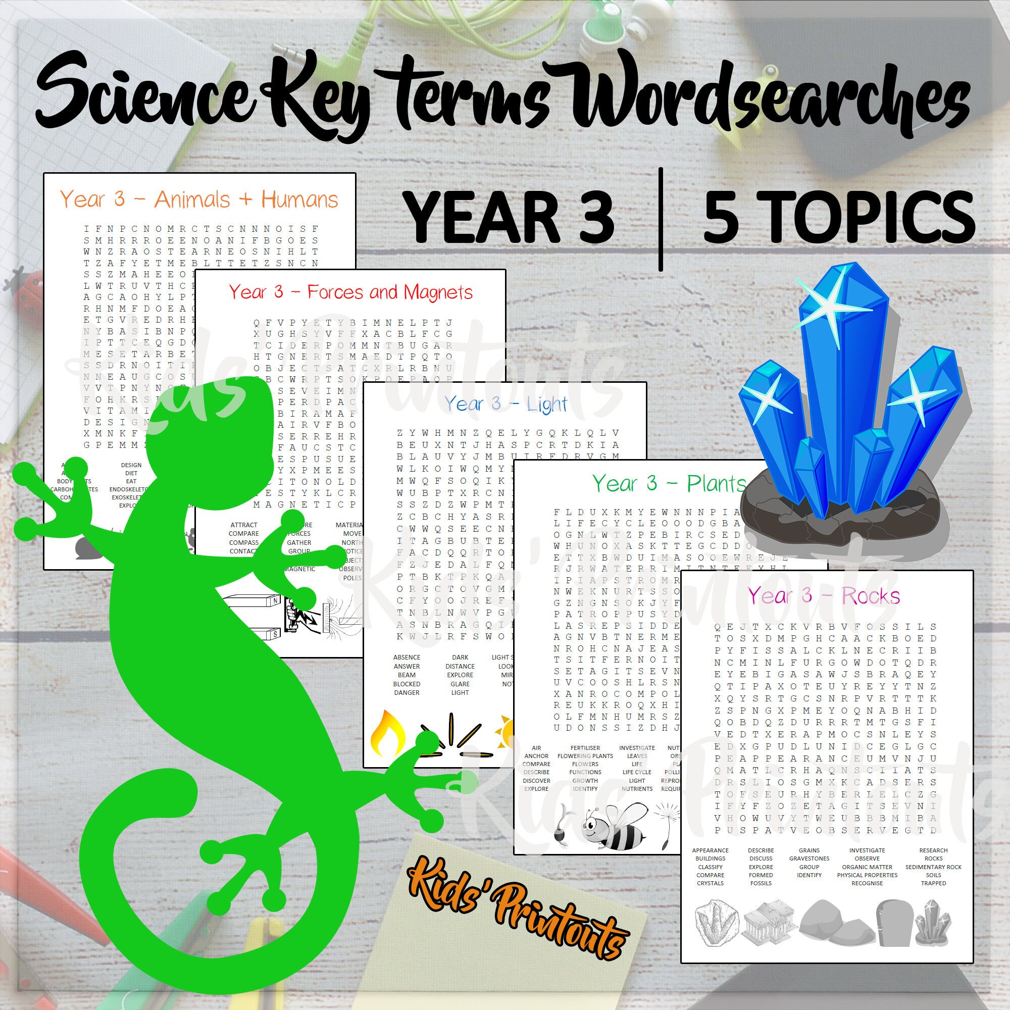 Year 3 Science vocabulary word searches x 5 over 150 terms | Etsy