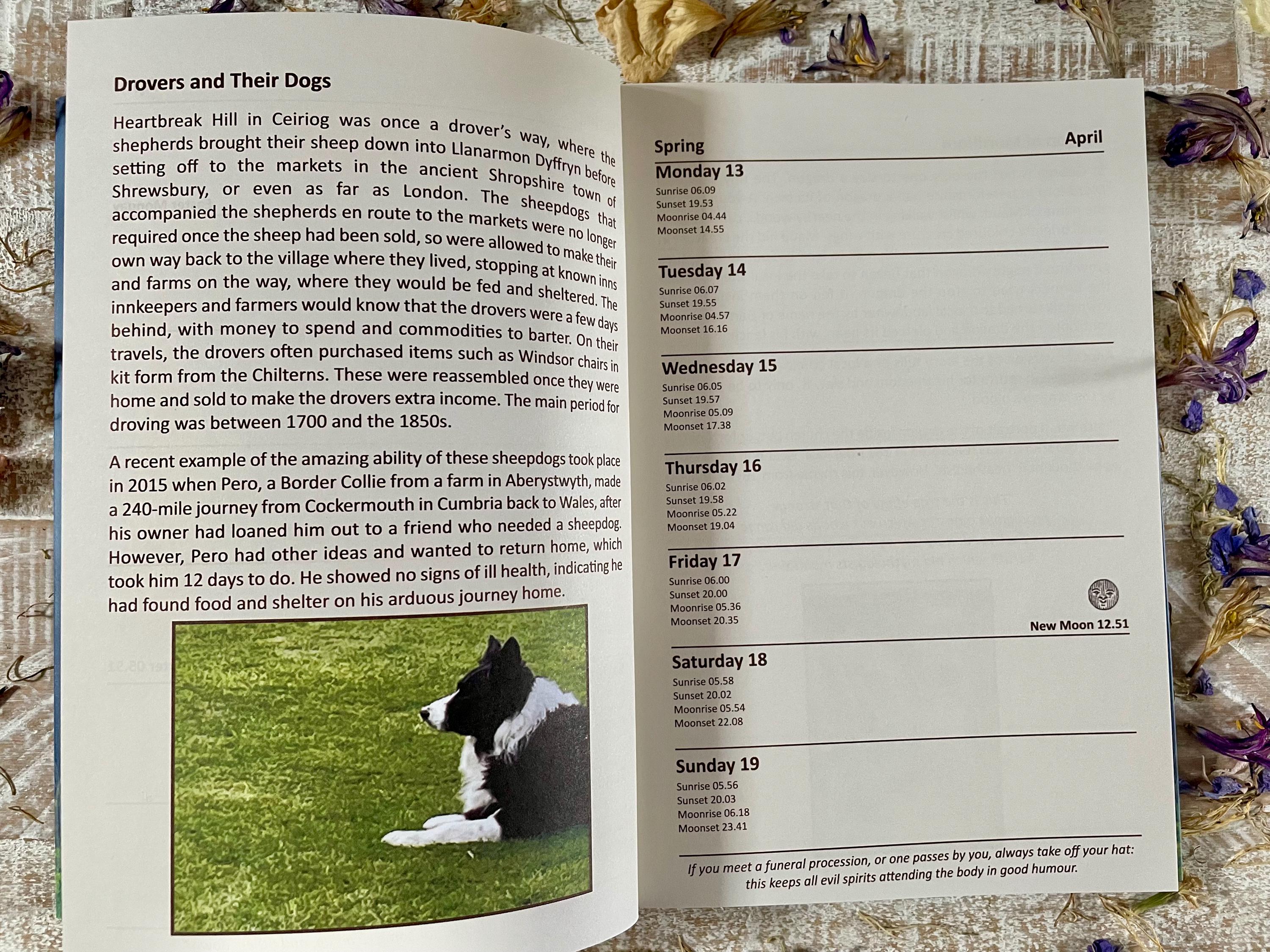 Country Wisdom & Folklore Diary 2026