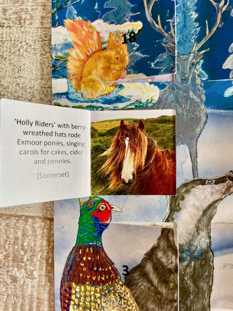 Pu&ograve; includere: Un collage con illustrazioni ad acquerello di fauna selvatica. Le immagini includono uno scoiattolo, un cervo, un cavallo, un fagiano e un tasso. Il testo include "Holly Riders" e informazioni sui pony Exmoor.