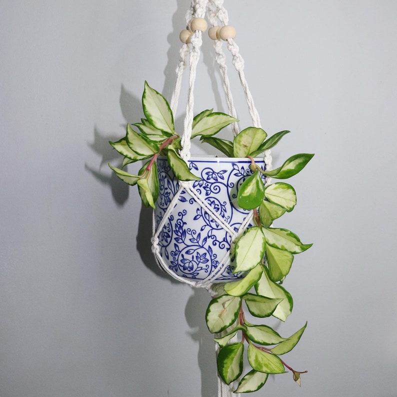 Don T Miss It Single Plant Macrame Holder Etsy Hong Kong First Choice For Gift Giving Www Himmelhomehealth Com