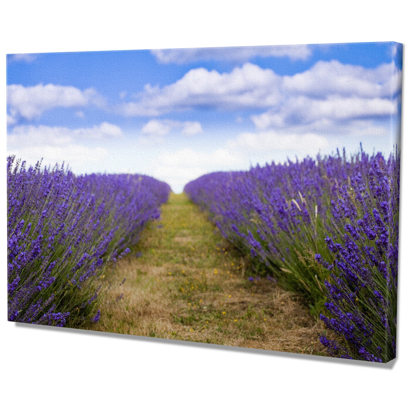 Lavender Canvas Wall Art Print Home Decor Printed Framed Etsy