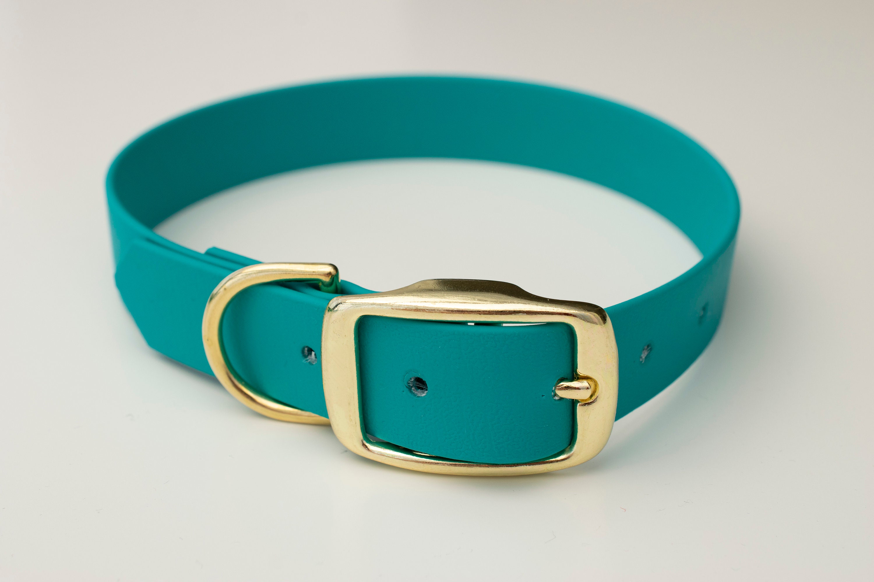 Teal Dog Collar Etsy