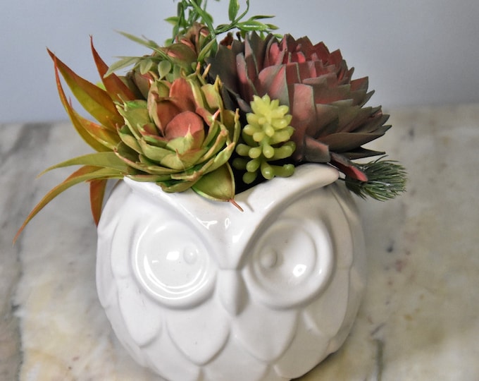 Wise Owl! 4 inch ceramic owl planter with hand painted and airbrushed Sola succulents - never water!