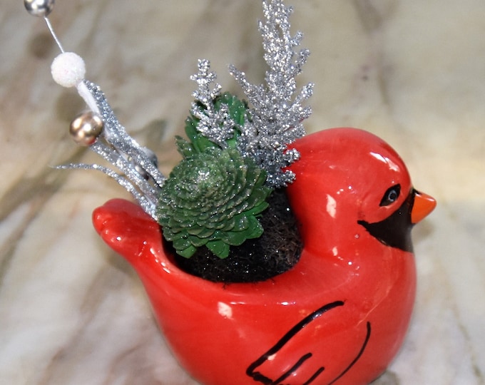 Small cardinal planter filled with sparkling airbrushed Sola wood succulents & fillers, holidays, Thanksgiving, Christmas, year-round