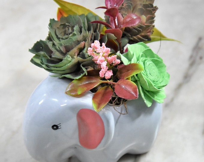 Cute small ceramic elephant planter filled with hand painted Sola wood succulents - a long lasting sustainable succulent arrangement