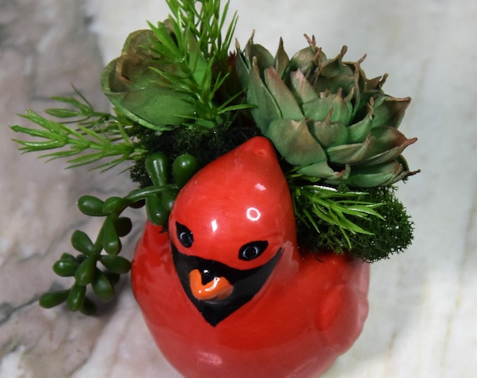 Small cardinal planter filled with dyed and airbrushed Sola wood succulents and fillers, Thanksgiving, Christmas, hostess, teacher gift