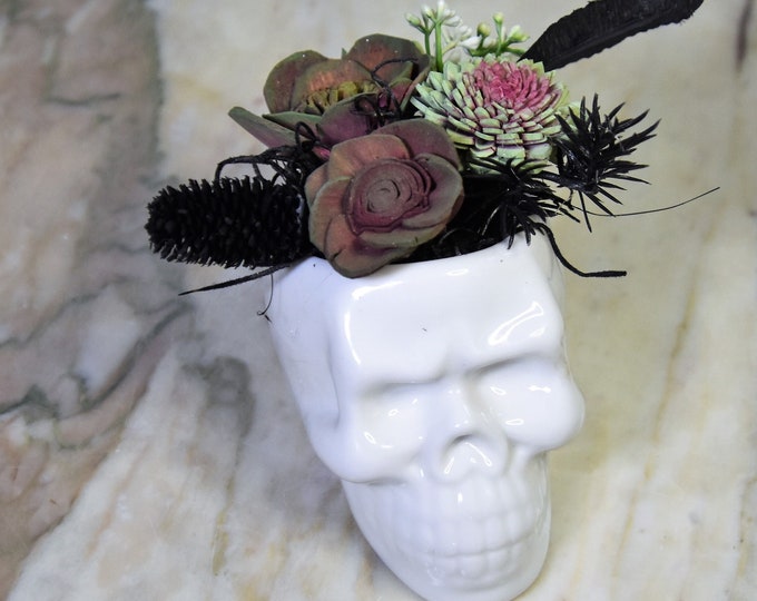 Small white ceramic skull, with dyed and airbrushed Sola wood succulents- gift, Día de los Muertos, Day of the Dead, Halloween or Year-round