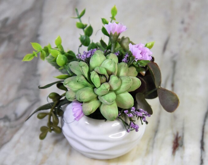 Sola wood succulents (no watering needed!) hand painted and airbrushed will faux fillers in a 4" wide round elegant white porcelain planter