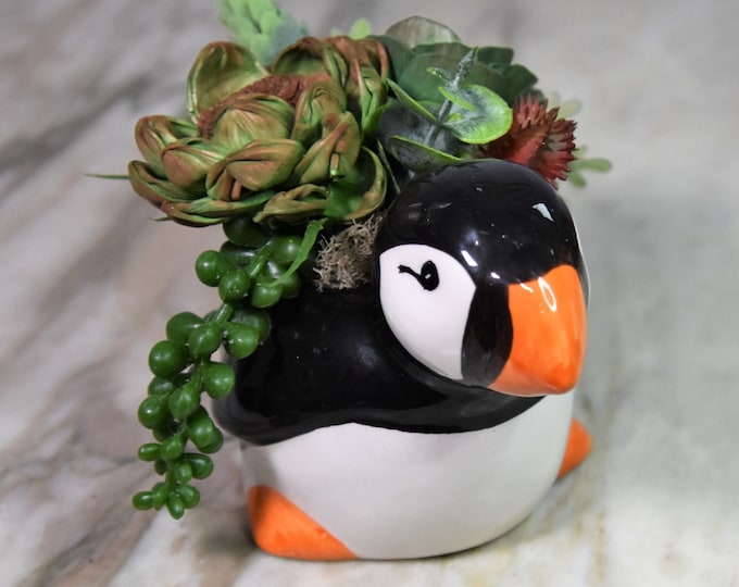 Small Penguin planter with Sola wood hand-dyed and airbrused year-round or Thanksgiving, Christmas, Holiday hostess, teacher gift