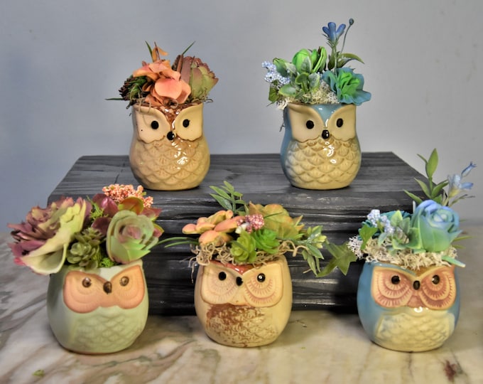 Adorable little ceramic owl planters with Sola wood hand painted succulents, pick an owl color and shape -