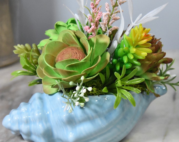 Blue seashell planter fille with sustainable Sola wood airbrushed succulents - beach theme, ocean theme, fish theme, lake theme