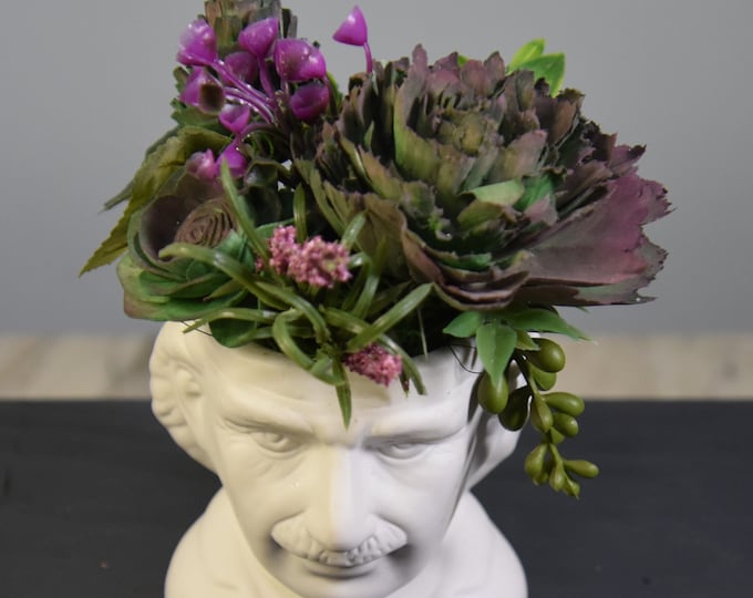 UNIQUE! White Albert Einstein bust planter filled with Sola wood succulents painted and airbrushed - no watering needed! Great gift for men!