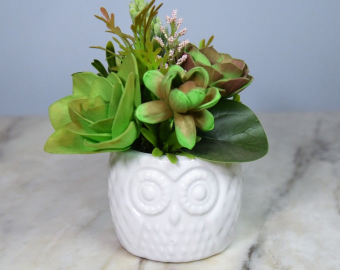 3" wide white ceramic owl planter filled with airbrushed Sola wood succulents perfect for a desktop, dresser or any corner, great gift!