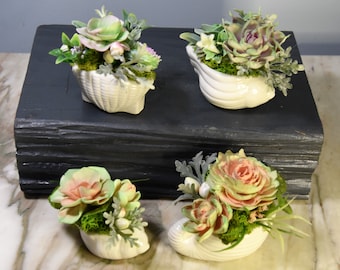 Mini ceramic shell planters with Sola wood hand painted succulents, choose a shell