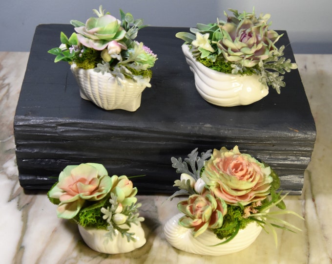 Mini ceramic shell planters with Sola wood hand painted succulents, choose a shell