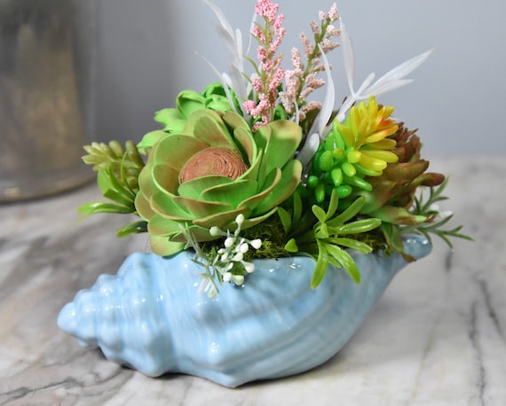 Blue Seashell Planter Fille With Sustainable Sola Wood Airbrushed  Succulents Beach Theme, Ocean Theme, Fish Theme, Lake Theme -  Canada
